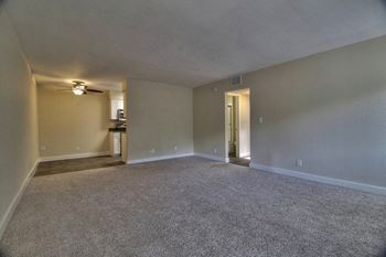 Nice carpets